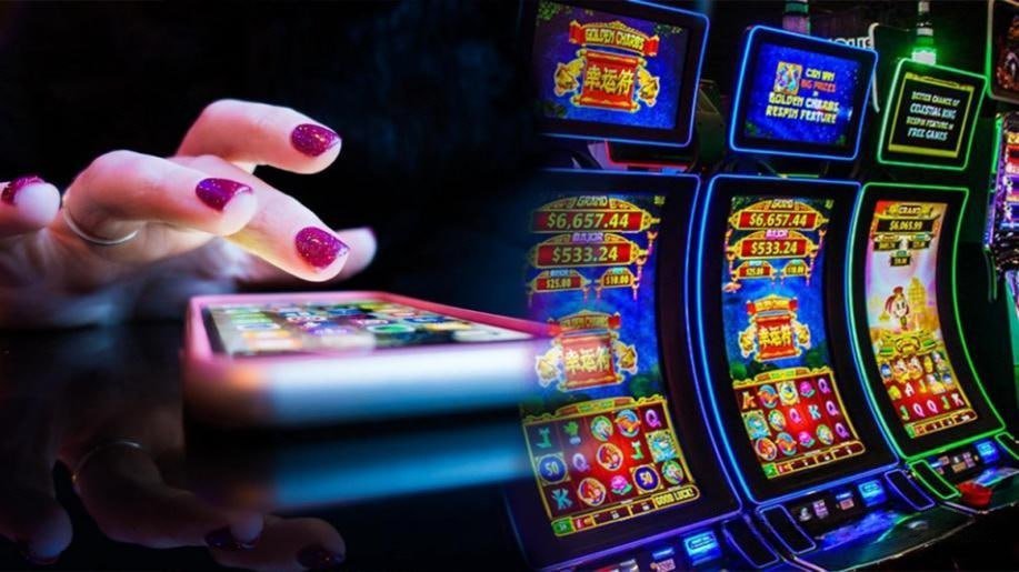 djbet77